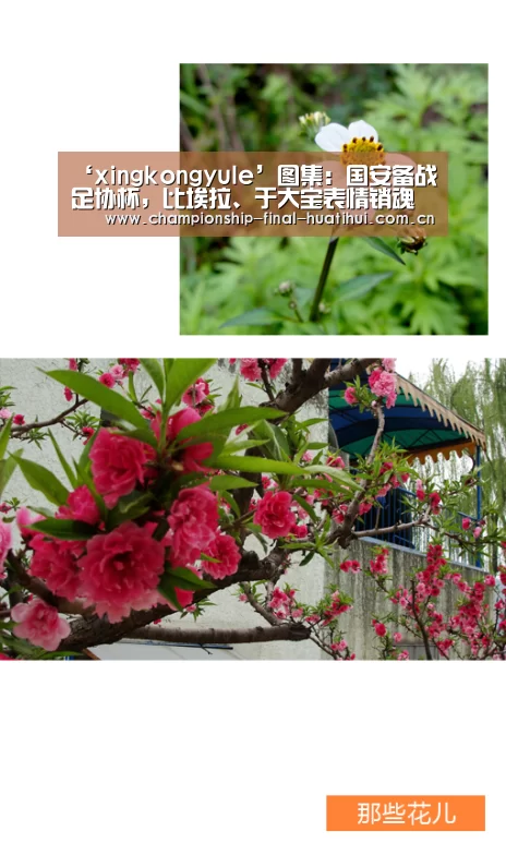 星空娱乐入口