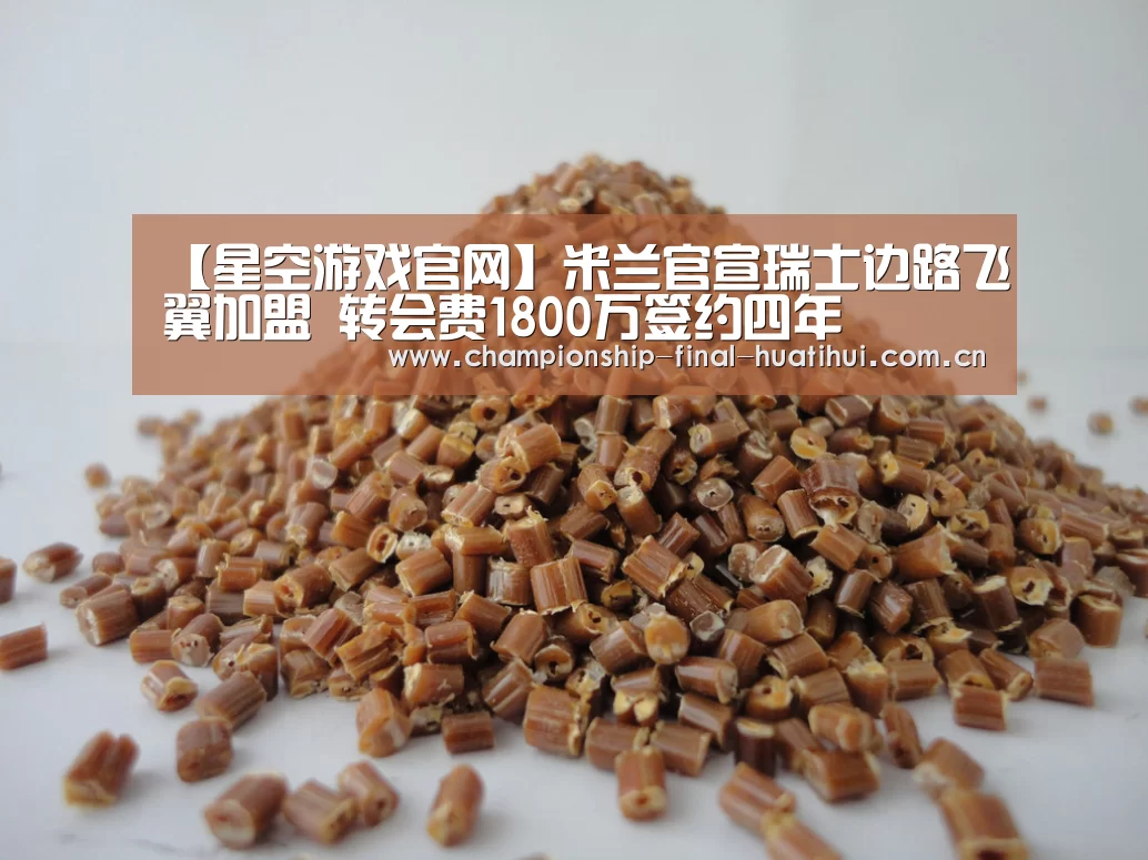 星空娱乐