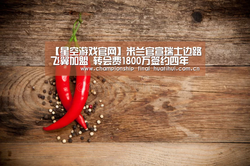 星空娱乐入口